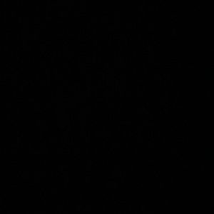 Meet your Posher, Jacira